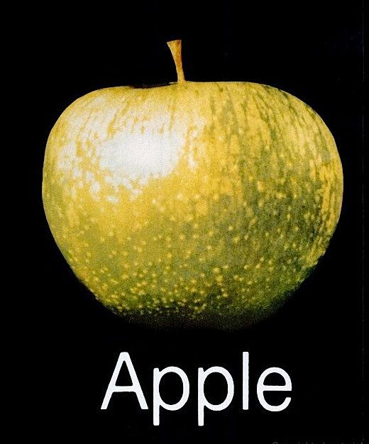 Apple Records