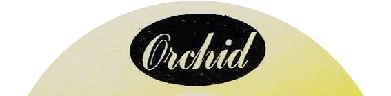 Orchid