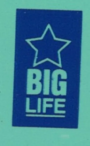 Big Life