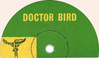 Doctor Bird