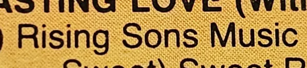 Rising Sons Music