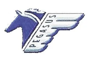 Pegasus