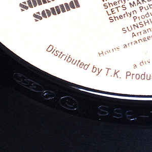 Sunshine Sound Enterprises, Inc.