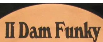 II Dam Funky