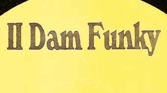 II Dam Funky