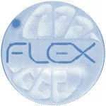 Flex Records