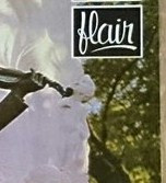 Flair (3)