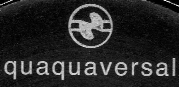 Quaquaversal