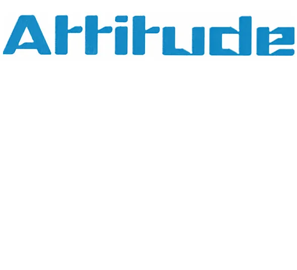 Attitude (2)