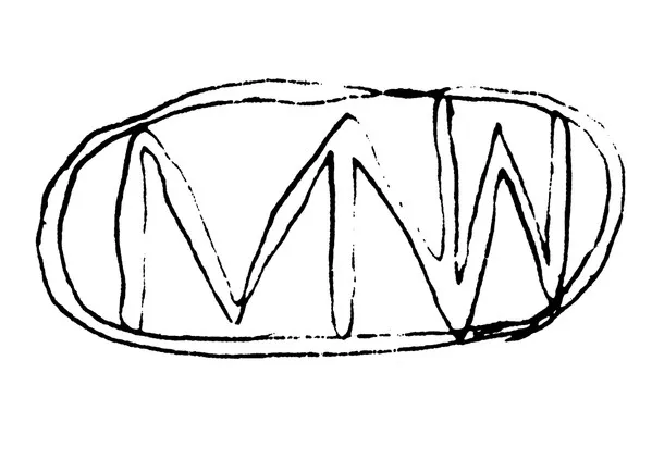 MNW