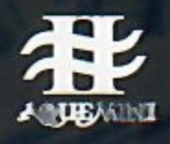 Aquemini Records