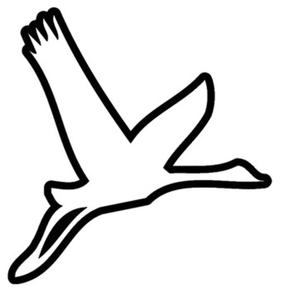 Flyin' High Records (3)