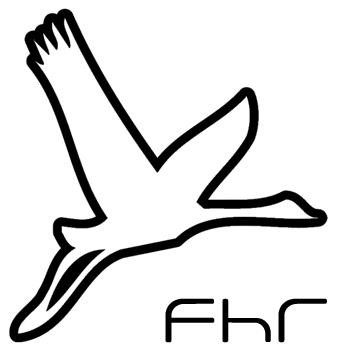 Flyin' High Records (3)