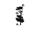 E.G.A.
