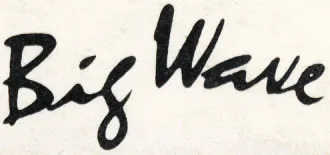 Big Wave (2)