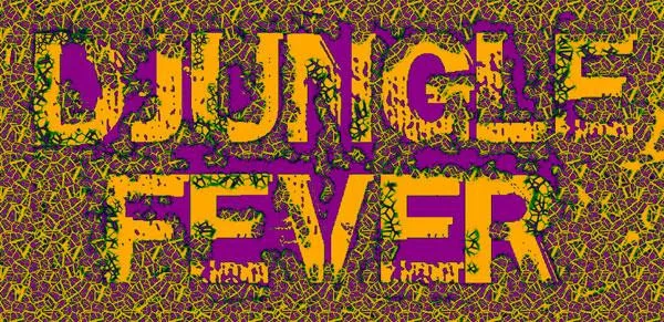 DJ.Ungle Fever