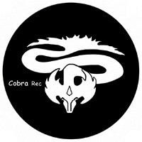 Cobra (4)
