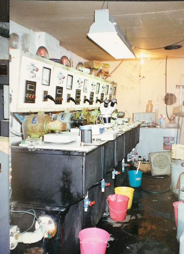 All Music Manufacturing