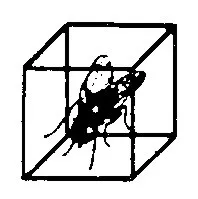 Cube Records