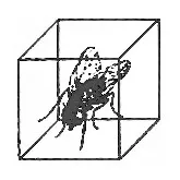 Cube Records
