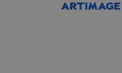 Artimage Vinyls