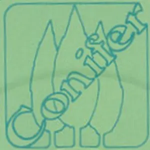 Conifer