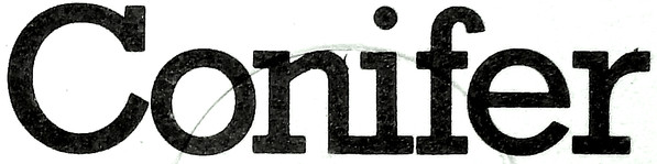 Conifer