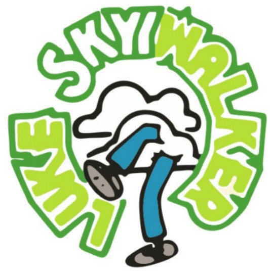 Luke Skyywalker Records