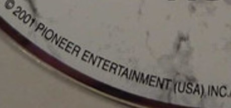 Pioneer Entertainment (USA) Inc.