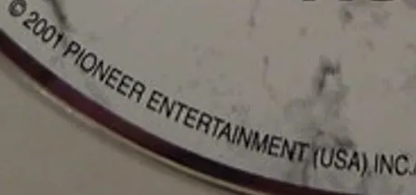 Pioneer Entertainment (USA) Inc.