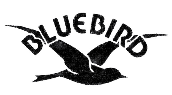 Bluebird (3)