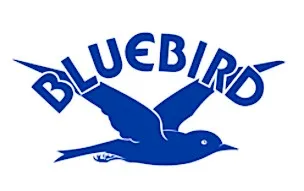 Bluebird (3)