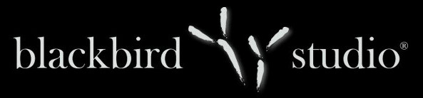Blackbird Studio