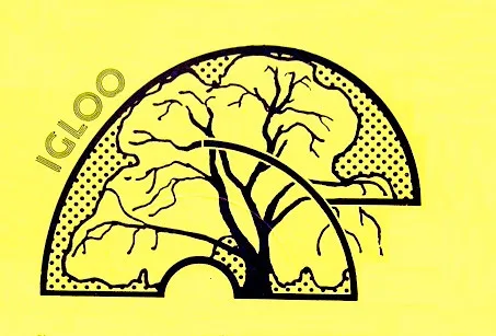 Igloo
