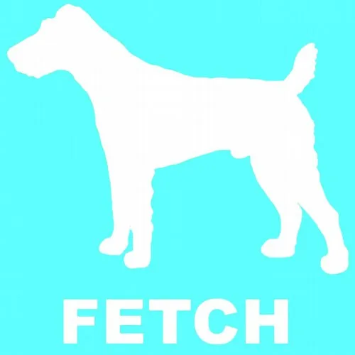 Fetch Records