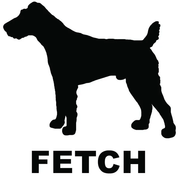 Fetch Records