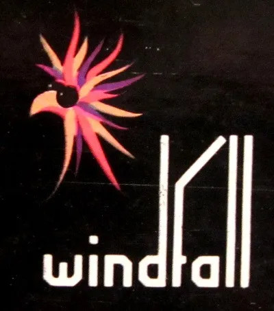 Windfall Records