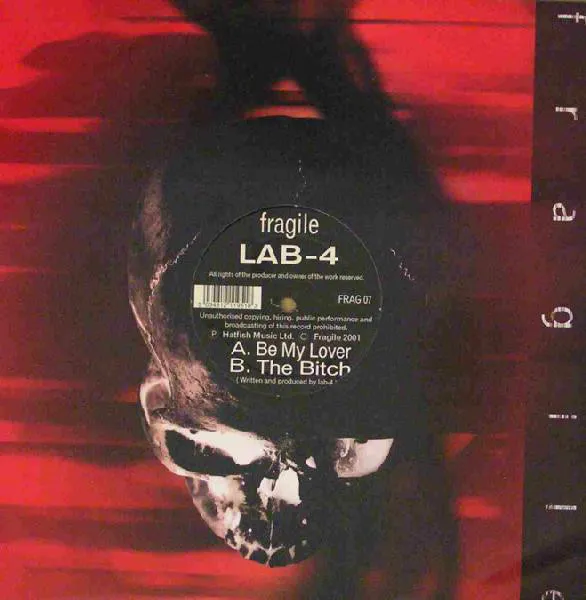 Fragile (9)
