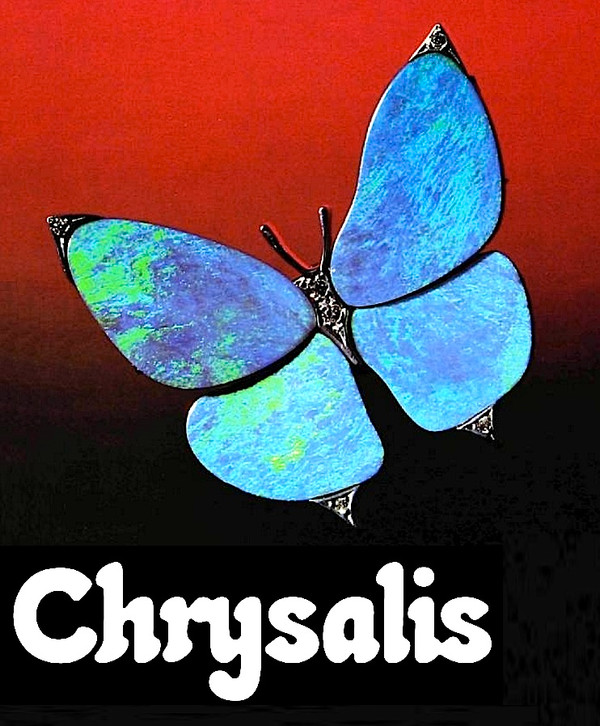 Chrysalis
