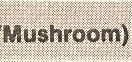 Mushroom (8)