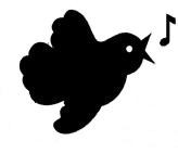 Strange Life Records