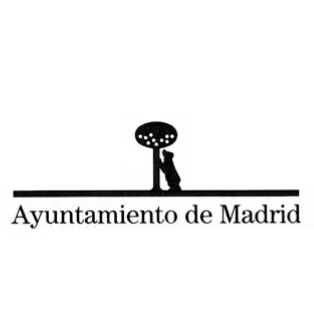 Ayuntamiento De Madrid
