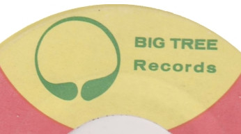 Big Tree Records