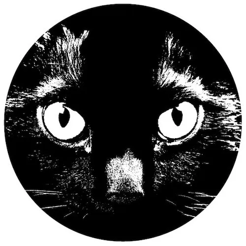 Catune