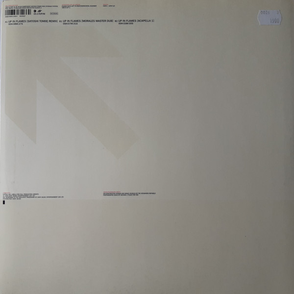 Album cover for Up In Flames (Part 1) by Satoshi Tomiie