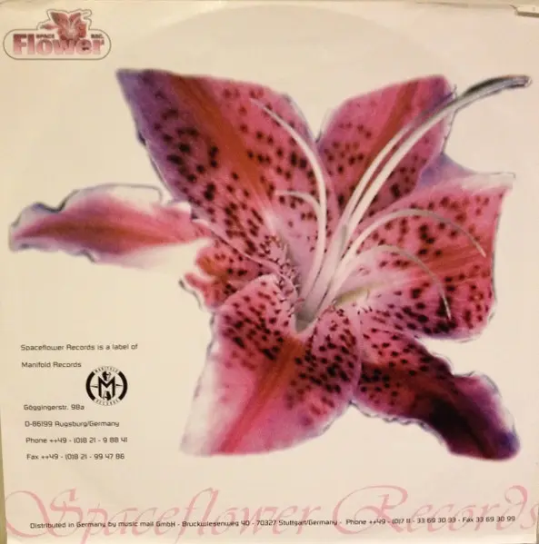 Loving Loop - Bass Please, Electronic, Hard Trance, Trance, 1997 - Spaceflower Records, Germany, Vinyl 1x 12", 45 RPM