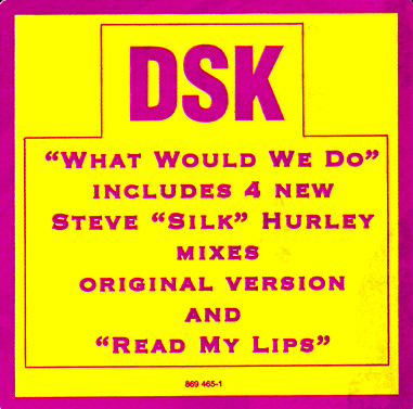 DSK - What Would We Do, Electronic, House, 1991 - FFRR, US, Vinyl 1x 12", 33 ⅓ RPM, Stereo