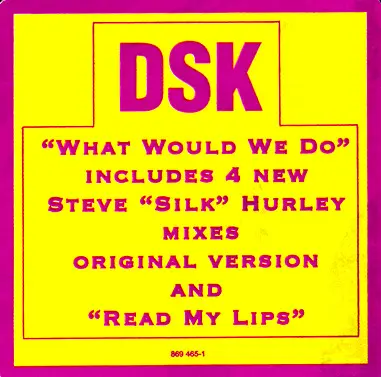 DSK - What Would We Do, Electronic, House, 1991 - FFRR, US, Vinyl 1x 12", 33 ⅓ RPM, Stereo