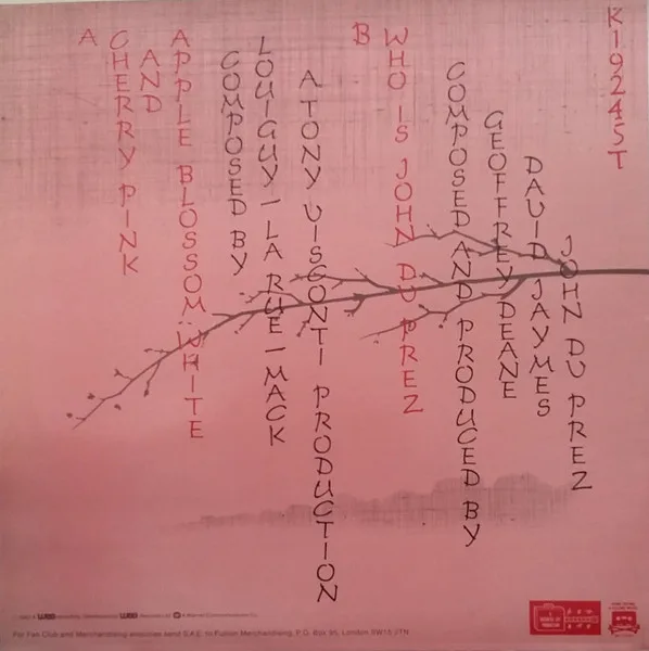 Album cover for Cherry Pink And Apple Blossom White by Modern Romance Featuring John Du Prez