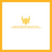 Starfish Pool Meets Various - Lymph Five, Electronic, Experimental, Industrial, 2001 - Lymph Ltd., Europe, Vinyl 1x 12", Limi